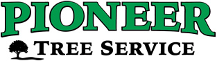 Tree Removal / Tree Care / Tree Service