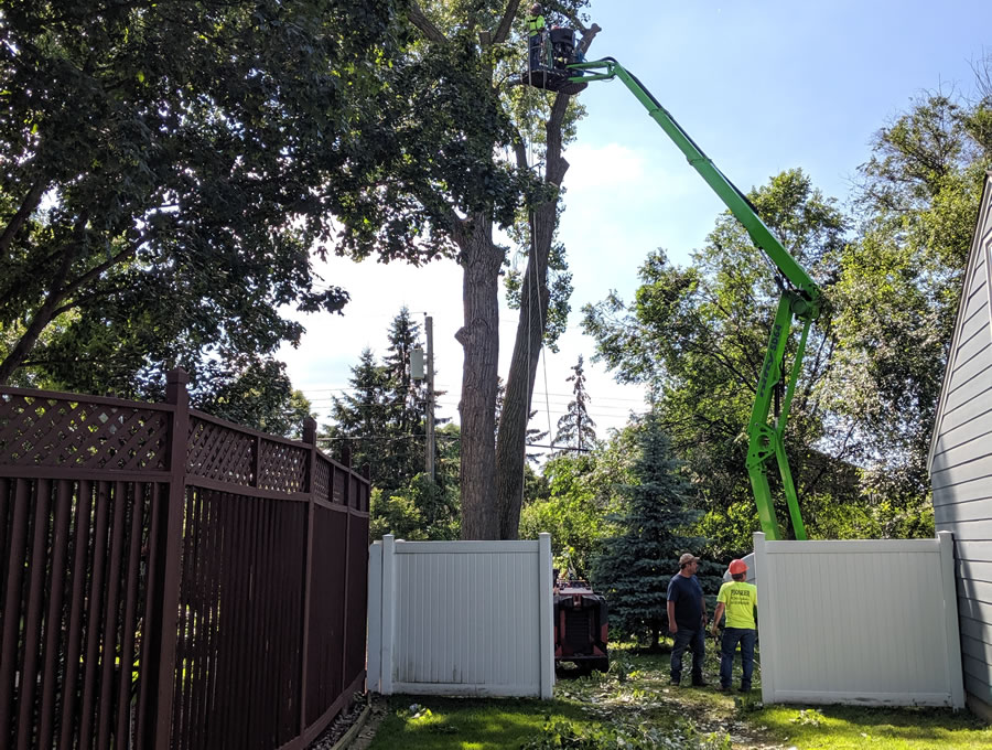Coon Rapids MN Large Tree Removal Coon Rapids MN Large Tree Removal