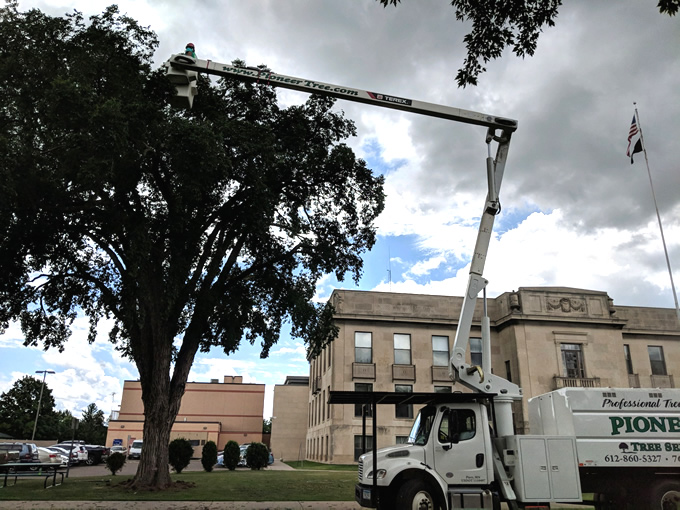 Tree Trimming Andover, MN Tree Trimming Photo